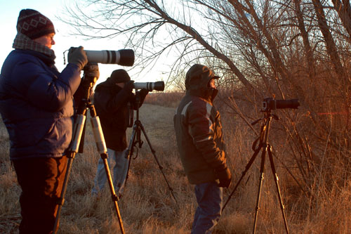 Participants at Bosque del Apache