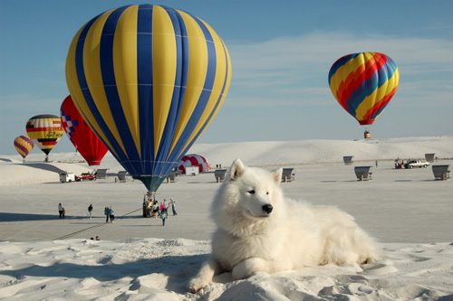 White Sands Balloon Festival, NM
