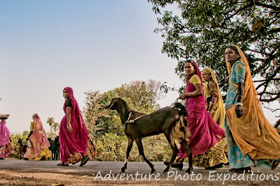 Traditional India - On the road