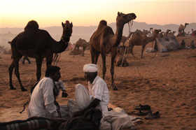 Pushkar Camel Fair
