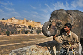 Amber Fort