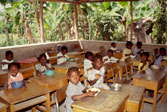 Children eat their meals at their desks