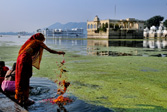 Petal offering at Pichola Lake - Udaipur