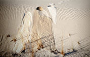 White Sands vision of Mescalero Apache