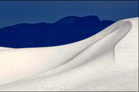 Great white wave
