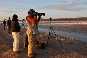 Photographing at the Bosque