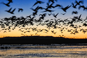 Sunrise flyout