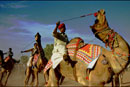 Camel racing - Pushkar