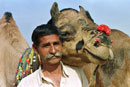 Buddies - Pushkar