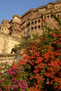 Mehrangarh Fort - Jodhpur